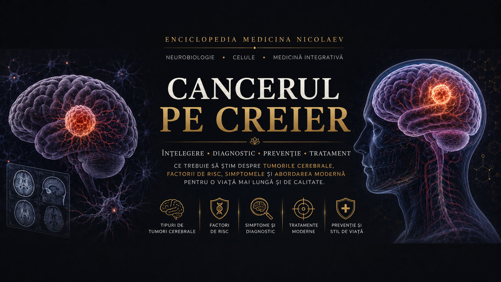 Cancerul pe creier – anatomia creierului, tumoră cerebrală, diagnostic și prevenție | Enciclopedia Medicina Nicolaev