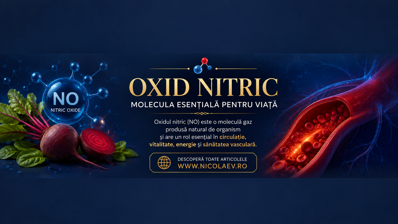 OXIDUL NITRIC ȘI SĂNĂTATEA ERECTILĂ