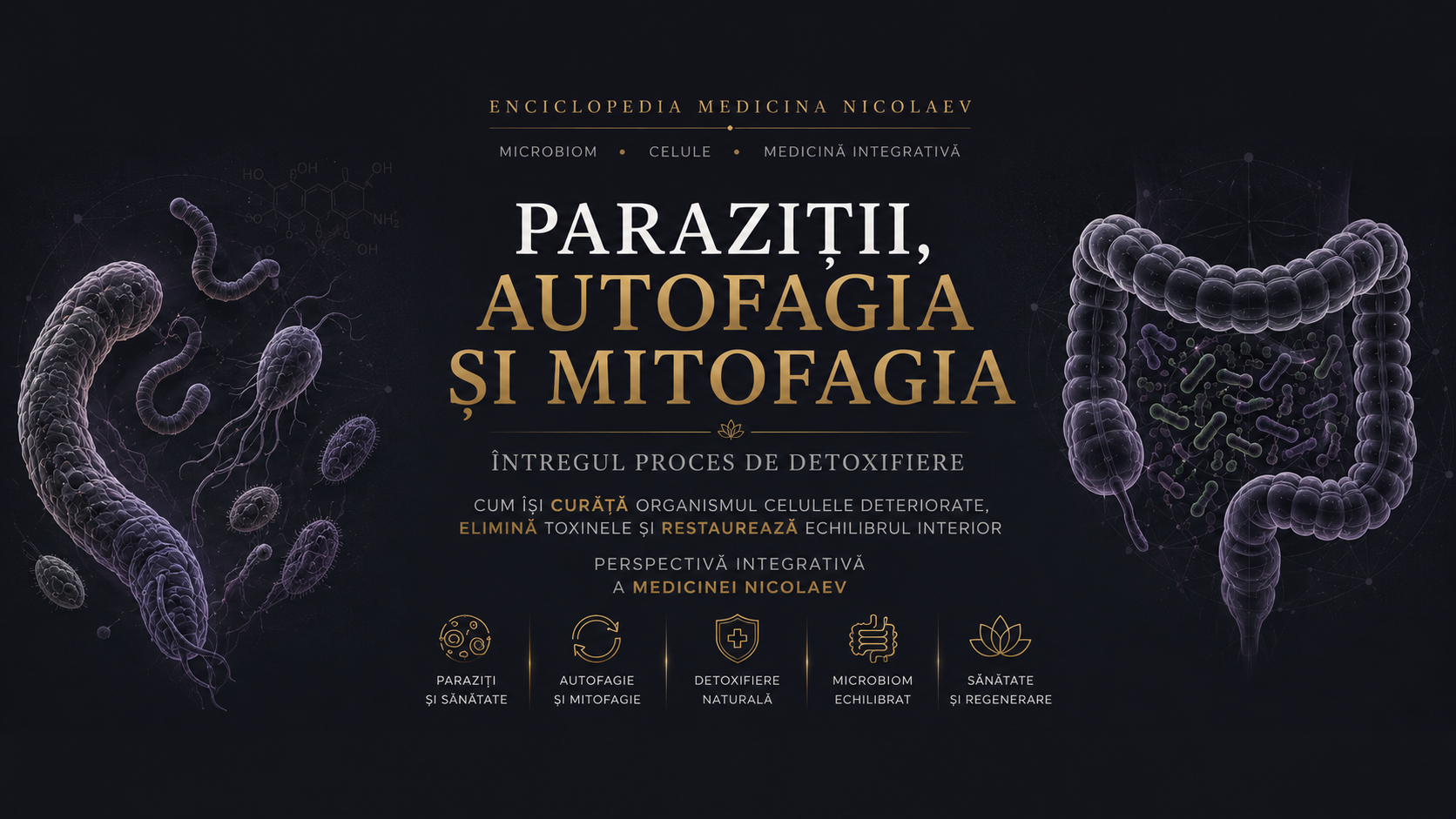 Paraziții, autofagia și mitofagia
